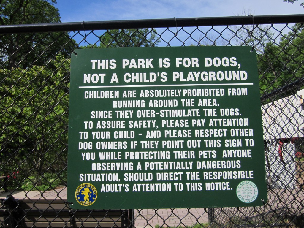 pay attention to your child while in the park