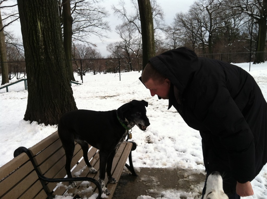 Everyone's Irish & More on St. Patrick's Day - Brookdale Park Dog ...